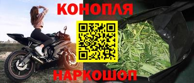 СК Будённовск