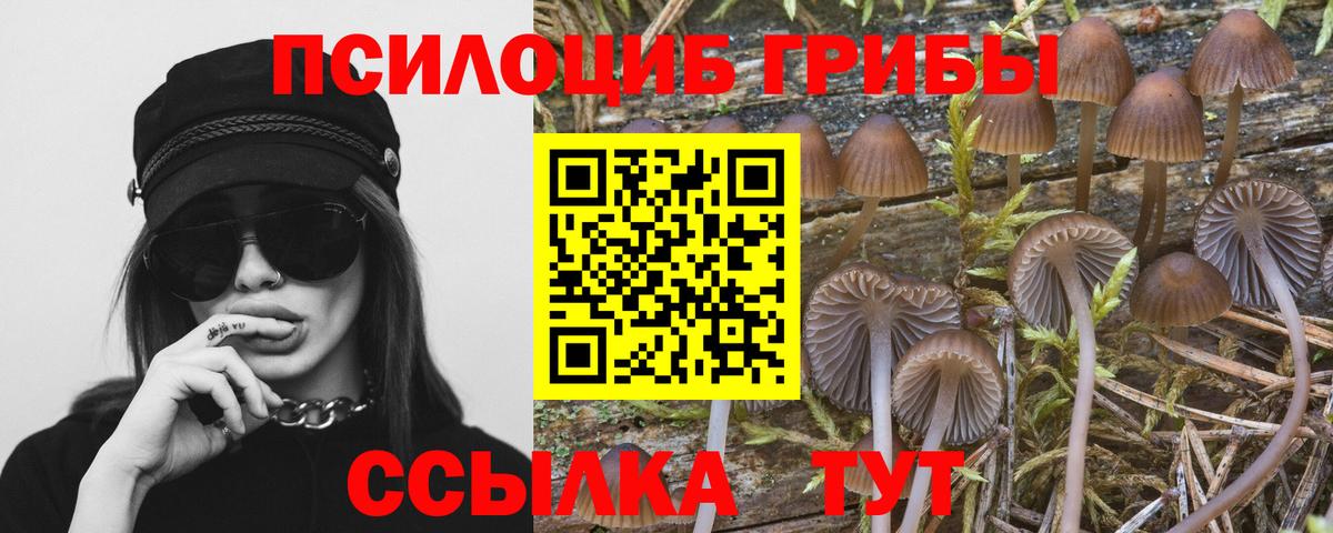 Галлюциногенные грибы Magic Shrooms  Галлюциногенные грибы ЛСД  Усолье-Сибирское  Вход с VPN 